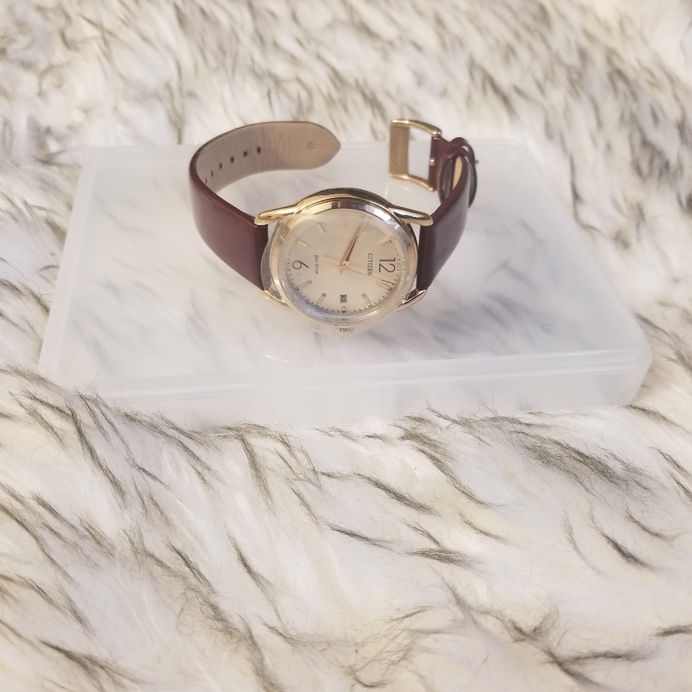 Burgundy and Rose-Gold Citizen Co. Eco-Drive Watch